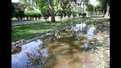 Despite the massive expenditure, Chandigarh councillors say residents continue to be greeted to heaps of garbage, horticulture waste, stray cattle and dogs, and broken swing sets and gym equipment at the parks, especially those located in southern sectors and in city’s periphery. (HT File Photo) Despite the massive expenditure, Chandigarh councillors say residents continue to be greeted to heaps of garbage, horticulture waste, stray cattle and dogs, and broken swing sets and gym equipment at the parks, especially those located in southern sectors and in city’s periphery. (HT File Photo)