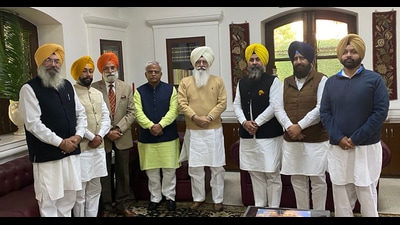 Senior BJP leader Rajinder Mohan Singh Chhina, who was a part of the delegation, said they held discussions with the dera head for over half an hour (HT Photo)