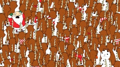 Brain Teaser: The bear is the same colour as this herd of reindeer. Can you find it? (Facebook/@thedudolf) Brain Teaser: The bear is the same colour as this herd of reindeer. Can you find it? (Facebook/@thedudolf)
