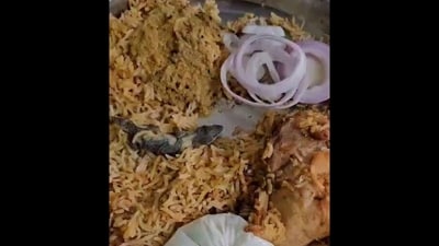 Dead lizard found in biryani ordered from Zomato. (X/@TeluguScribe) Dead lizard found in biryani ordered from Zomato. (X/@TeluguScribe)