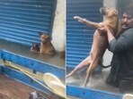 The image shows a man rescuing a dog stuck in floodwaters in Chennai. The image shows a man rescuing a dog stuck in floodwaters in Chennai.