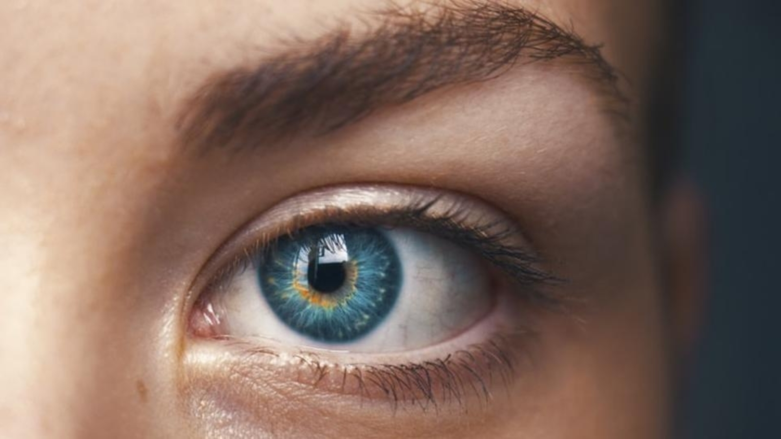 Eye scans provide vital information about kidney health: Study - Vimarsana News