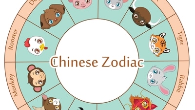 Let us read why these 5 Chinese zodiac signs will be lucky according to the astrological predictions below. (Freepik) Let us read why these 5 Chinese zodiac signs will be lucky according to the astrological predictions below. (Freepik)