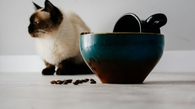 The black clay used for making these pots is found abundantly in the region, mostly near the riverbanks. (Unsplash) The black clay used for making these pots is found abundantly in the region, mostly near the riverbanks. (Unsplash)