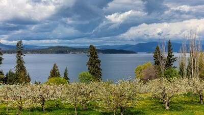 Cherry orchards near Woods Bay, Montana, USA. (Shutterstock) Cherry orchards near Woods Bay, Montana, USA. (Shutterstock)