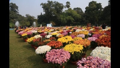 The flower show will have something for everyone. (For Representation) The flower show will have something for everyone. (For Representation)