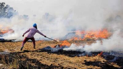 The maximum number of incidents of stubble burning took place in Sangrur, the home district of chief minister Bhagwant Mann. (HT file photo) The maximum number of incidents of stubble burning took place in Sangrur, the home district of chief minister Bhagwant Mann. (HT file photo)