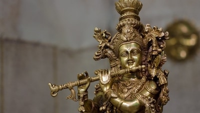 According to rituals, the Utpanna Ekadashi fast holds much significance in Hinduism. (Pixabay) According to rituals, the Utpanna Ekadashi fast holds much significance in Hinduism. (Pixabay)