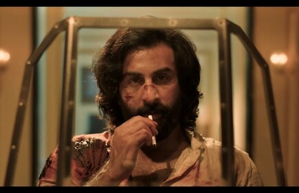 Ranbir Kapoor in a still from Animal.