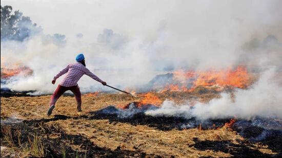 The maximum number of incidents of stubble burning took place in Sangrur, the home district of chief minister Bhagwant Mann. (HT file photo)