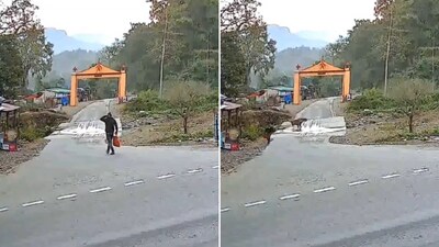 The image shows a man’s close encounter with a tiger. (X/@ParveenKaswan) The image shows a man’s close encounter with a tiger. (X/@ParveenKaswan)