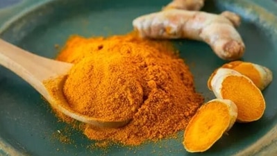 2. Turmeric: Haldi has a powerful compound called curcumin that has long been recognised for its anti-inflammatory properties. Additionally, it can purify blood and boost immunity. Consuming it can prevent obesity as curcumin helps control inflammation, a major cause of weight gain. (Unsplash) 2. Turmeric: Haldi has a powerful compound called curcumin that has long been recognised for its anti-inflammatory properties. Additionally, it can purify blood and boost immunity. Consuming it can prevent obesity as curcumin helps control inflammation, a major cause of weight gain. (Unsplash)