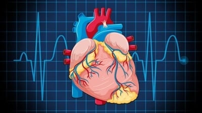 Simple everyday diet, lifestyle changes for a happier, healthier heart (Freepik) Simple everyday diet, lifestyle changes for a happier, healthier heart (Freepik)