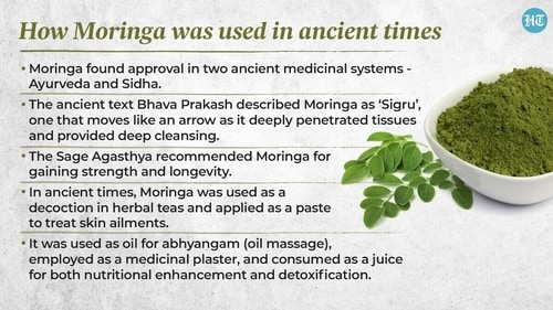 The Sage Agasthya recommended Moringa for gaining strength and wrote that the one who consumed Moringa will become strong and won’t need any waking stick or support even after 90 years of age. The Sage Agasthya recommended Moringa for gaining strength and wrote that the one who consumed Moringa will become strong and won’t need any waking stick or support even after 90 years of age.