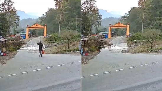 The image shows a man’s close encounter with a tiger. (X/@ParveenKaswan)