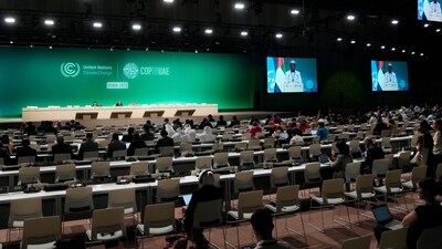 COP28 UN Climate Summit in Dubai, United Arab Emirates. (AP)