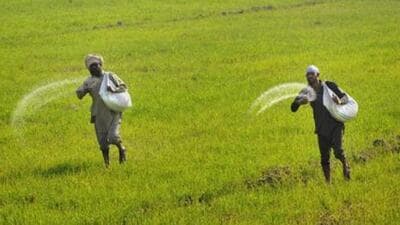 Procurement refers to the government’s purchases of food commodities at MSP — a floor price set to stave off distress sales by farmers (PTI) Procurement refers to the government’s purchases of food commodities at MSP — a floor price set to stave off distress sales by farmers (PTI)