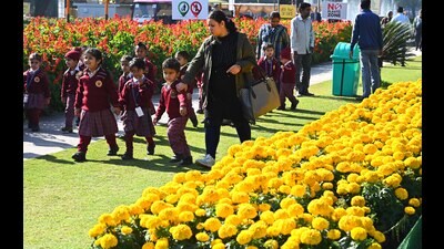 Schoolchildren at the Chrysanthemum Show in Terraced Garden, Sector 33, Chandigarh, on a sunny Friday. (Keshav Singh/HT)