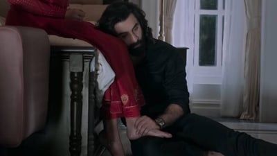 Ranbir Kapoor in a still from Animal, which was released on December 1. Ranbir Kapoor in a still from Animal, which was released on December 1.