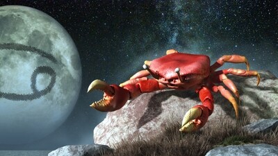 Weekly Horoscope Capricorn, Dec 10-16, 2023: Here are accurate weekly predictions for the week.