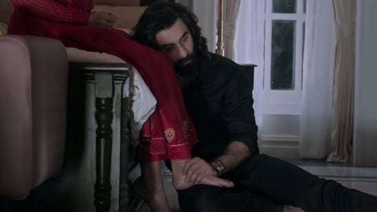 Ranbir Kapoor in a still from Animal, which was released on December 1.