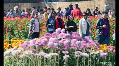 As per the India Meteorological Department, the temperatures in Chandigarh will remain on the lower side in the coming days as well. (HT PHOTO) As per the India Meteorological Department, the temperatures in Chandigarh will remain on the lower side in the coming days as well. (HT PHOTO)