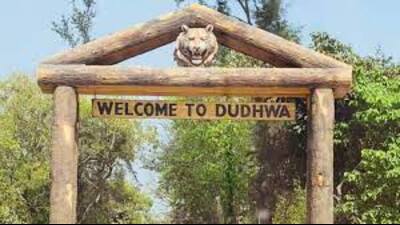 Solar fencing in Dudhwa buffer zone to curb man-animal conflicts (HT file) Solar fencing in Dudhwa buffer zone to curb man-animal conflicts (HT file)