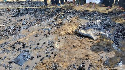 Videos and photographs of the oil spill spreading were circulated online. Videos and photographs of the oil spill spreading were circulated online.