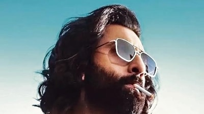 At the moment, Ranbir Kapoor's Animal is working well at the box office