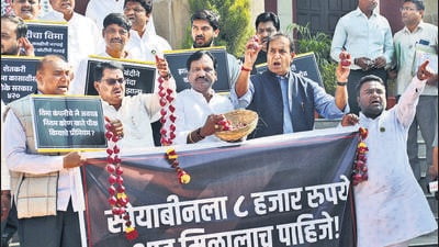 Nagpur, Dec 11 (ANI): MLAs of Mahavikas Aghadi protest against the central government regarding the onion export ban in Nagpur on Monday. (ANI Photo) (Chandrakant Paddhane) Nagpur, Dec 11 (ANI): MLAs of Mahavikas Aghadi protest against the central government regarding the onion export ban in Nagpur on Monday. (ANI Photo) (Chandrakant Paddhane)