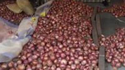 The central government’s decision to ban onion export last Friday garnered angry reactions from farmers and traders in the Nashik district, which is the major onion producer belt in the region. (REPRESENTATIVE PHOTO)