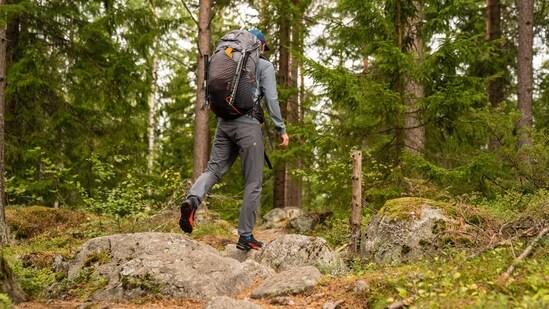 Phulara Ridge Trek, Uttarakhand: Optimal trekking periods for this adventure are September, October, November, May, and June. As one of the newer and distinctive ridge treks in India, it's an ideal choice, especially for wildlife and bird enthusiasts.&nbsp;(Representative Image (Unsplash))