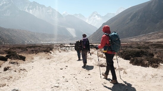 International Mountain Day is observed annually on December 11 to promote awareness of the importance of mountains in our lives and for the well-being of our planet. The Himalayas provide some of the most awe-inspiring trekking experiences globally, featuring magnificent landscapes, diverse flora and fauna, and a rich cultural tapestry. Dayara Bugyal, Brahmatal, and Kedarkantha are ideal for beginners and can be enjoyed throughout the year, excluding the monsoon season. On the other hand, Hampta Pass, Valley of Flowers, Kashmir Great Lakes, and Tarsar Marsar are suitable for monsoon treks. For those seeking snowy landscapes, consider trekking between November and April.&nbsp;(Unsplash)