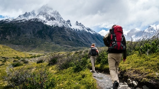 Deoriatal Chandrashila Trek, Uttarakhand: From the summit, you'll have the opportunity to witness not only the Himalayan ranges but also all the prominent summits of Western and Eastern Uttarakhand. This trek is optimal for exploration in every season, excluding the monsoon.&nbsp;(Representative Image (Unsplash))
