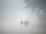 The maximum temperature recorded was 24.8 degrees Celsius, which is considered normal for this time of the year.&nbsp;