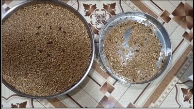 Contaminated food supplied to anganwadi children sparks parental outrage Contaminated food supplied to anganwadi children sparks parental outrage