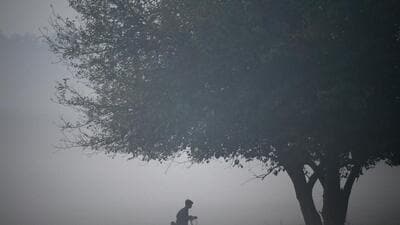 IMD officials said cold northwesterly winds will persist for the next three days, with the minimum temperature expected to hover around 6-7°C in this time. (Sunil Ghosh/HT Photo) IMD officials said cold northwesterly winds will persist for the next three days, with the minimum temperature expected to hover around 6-7°C in this time. (Sunil Ghosh/HT Photo)