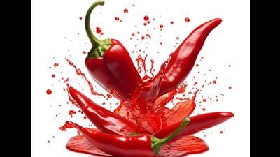 India has no chilli sauce tradition, even though our Bhut Jolokia once topped the Scoville scale. (Photos: ADOBE STOCK) India has no chilli sauce tradition, even though our Bhut Jolokia once topped the Scoville scale. (Photos: ADOBE STOCK)