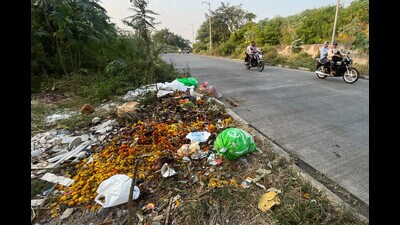 The solid waste management department has asked all regional ward offices to intensify action in the city. (HT PHOTO)