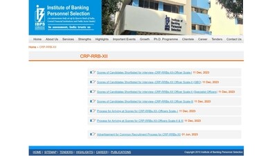 IBPS RRB XII Main exam result 2023 released at www.ibps.in