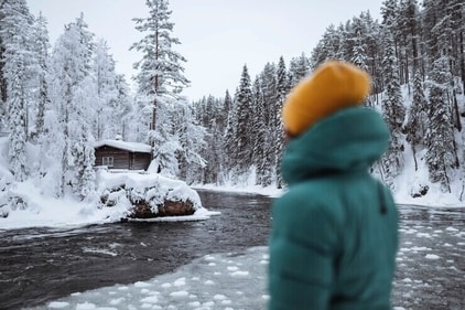 Cruise through the frozen wilderness on a reindeer sleigh. Hop across the Artic Circle. Catch a glimpse of the Northern Lights. (Freepik) Cruise through the frozen wilderness on a reindeer sleigh. Hop across the Artic Circle. Catch a glimpse of the Northern Lights. (Freepik)