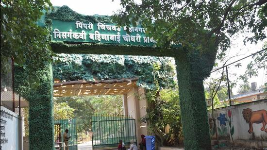 A total of 36 animals including peacocks, turtles, snakes, crocodiles, and some birds died in the period between 2017 and 2023 at the at Nisarga Kavi Bahinabai Chaudhary Zoo. (HT PHOTO)