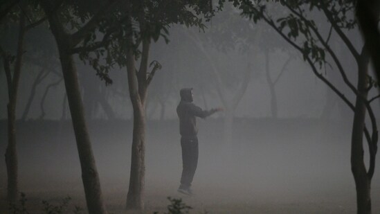 The weather forecast for December 12 to 17 suggests that the minimum temperature will fluctuate between 6 and 8 degrees Celsius during this period.&nbsp;(HT Photo/Sunil Ghosh)