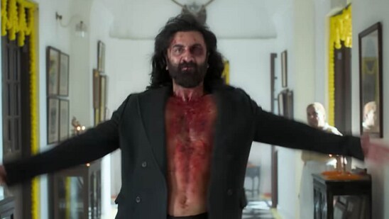 Ranbir Kapoor in a still from Animal.