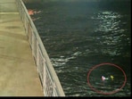 Snapshot of the dog stuck in Lake Superior.