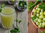 Having a glass of amla juice in the morning instead of a cup of tea can bring amazing benefits for health. Having a glass of amla juice in the morning instead of a cup of tea can bring amazing benefits for health.