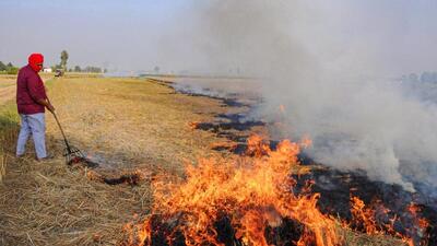 Farm fire cases on the decline, Parliament told