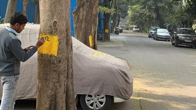 MCD begins first census of trees in Delhi MCD begins first census of trees in Delhi