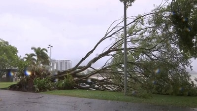 As of Wednesday, more than 90 people had evacuated their homes to designated evacuation centres, according to Police Deputy Commissioner Shane Chelepy. (AP) As of Wednesday, more than 90 people had evacuated their homes to designated evacuation centres, according to Police Deputy Commissioner Shane Chelepy. (AP)