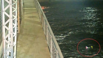 Snapshot of the dog stuck in Lake Superior.